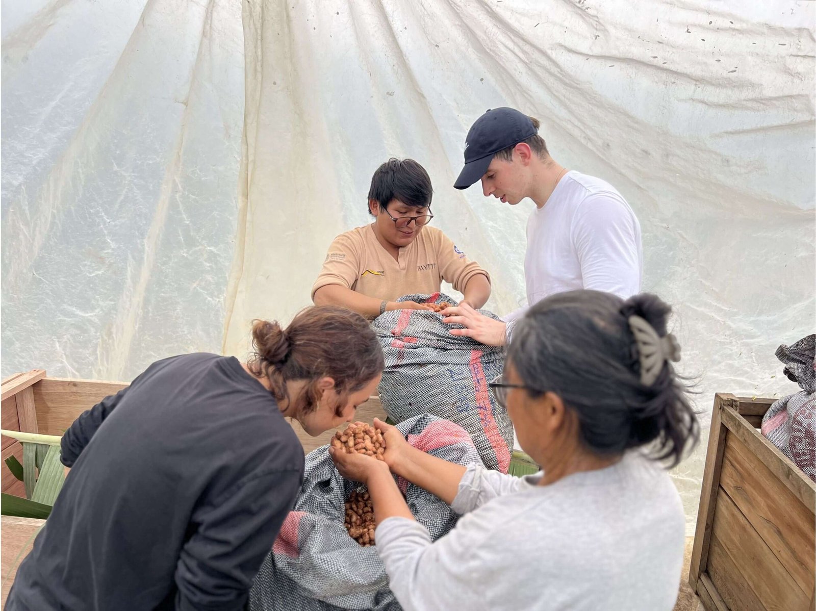 Mateo Sánchez Téllez